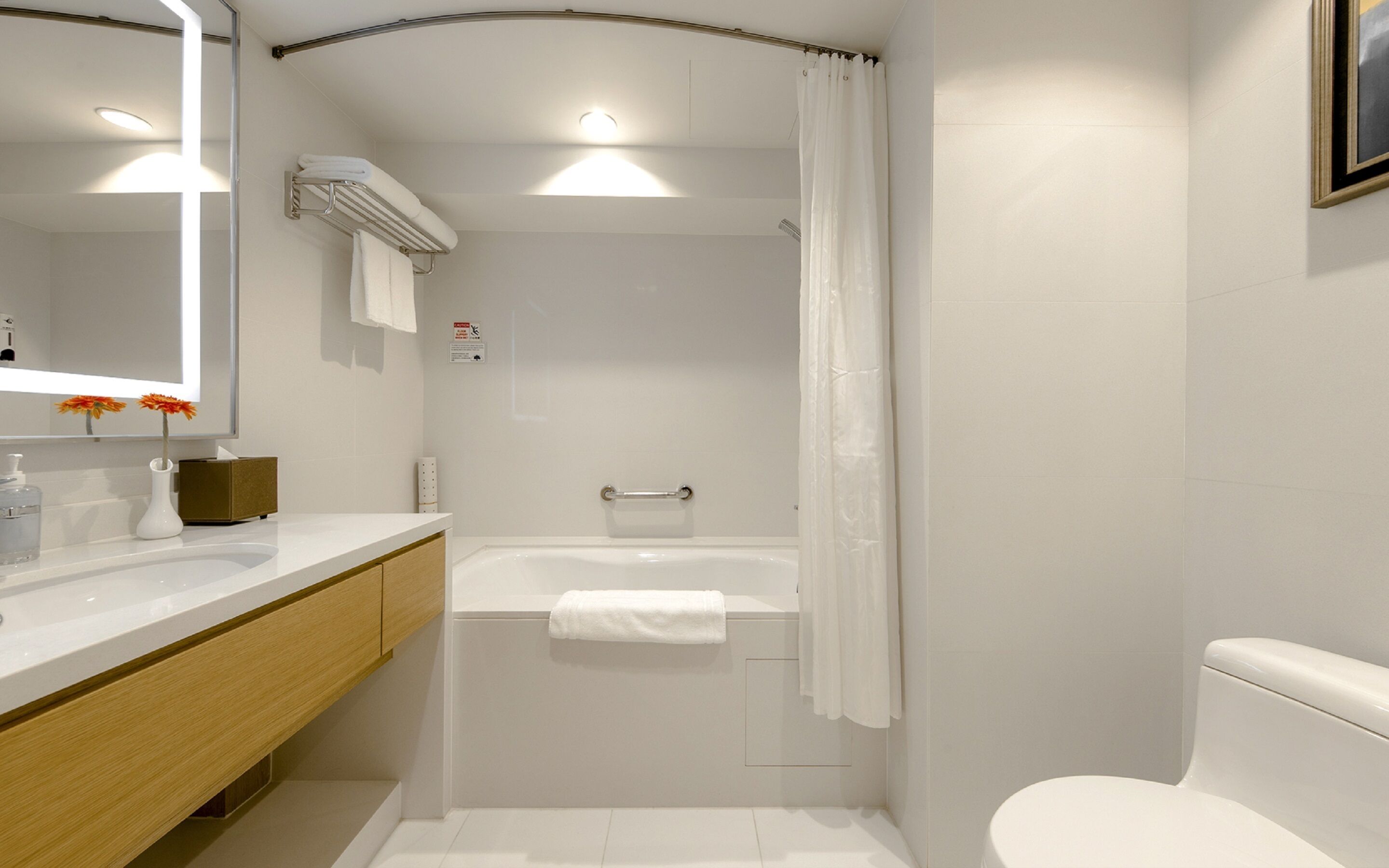 superior double room (partly non-smoking room (with closed window)) | bathroom | combined shower/bathtub, deep-soaking bathtub, free toiletries