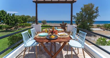 Eco Beach and Magic Garden