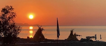 Eco Beach and Magic Garden