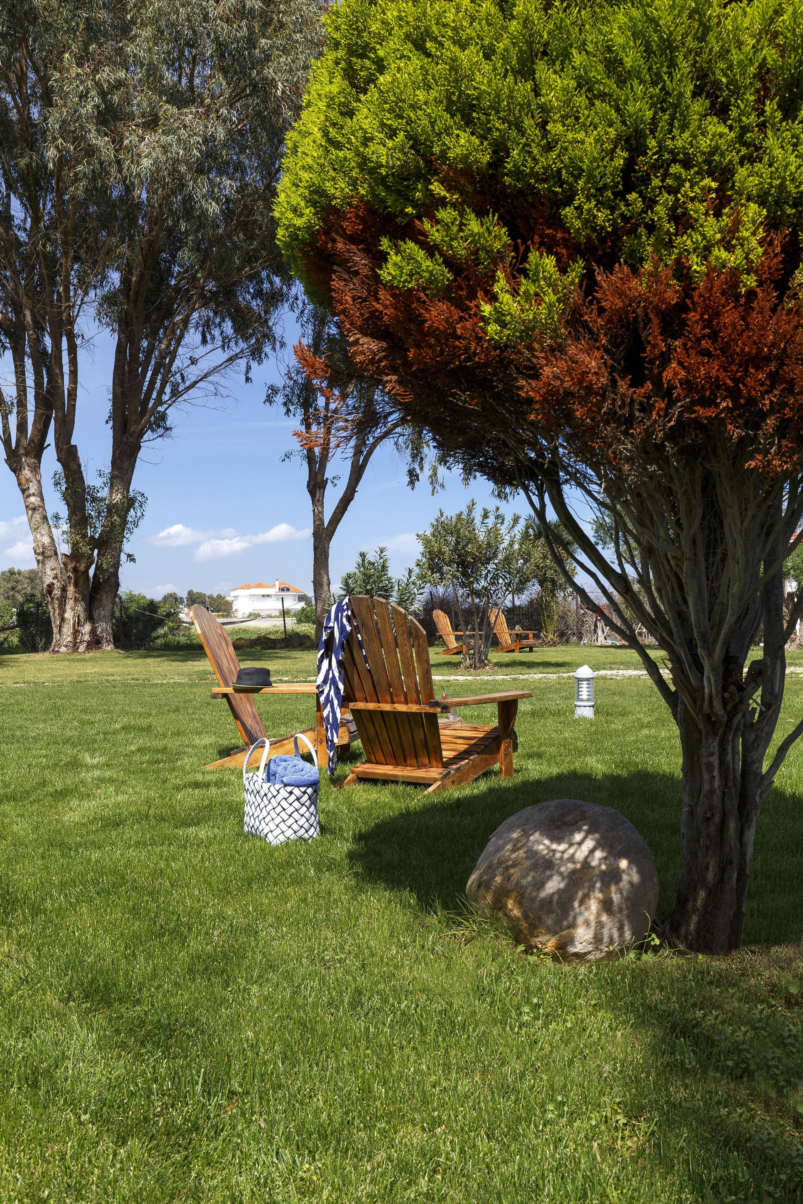 Jardin