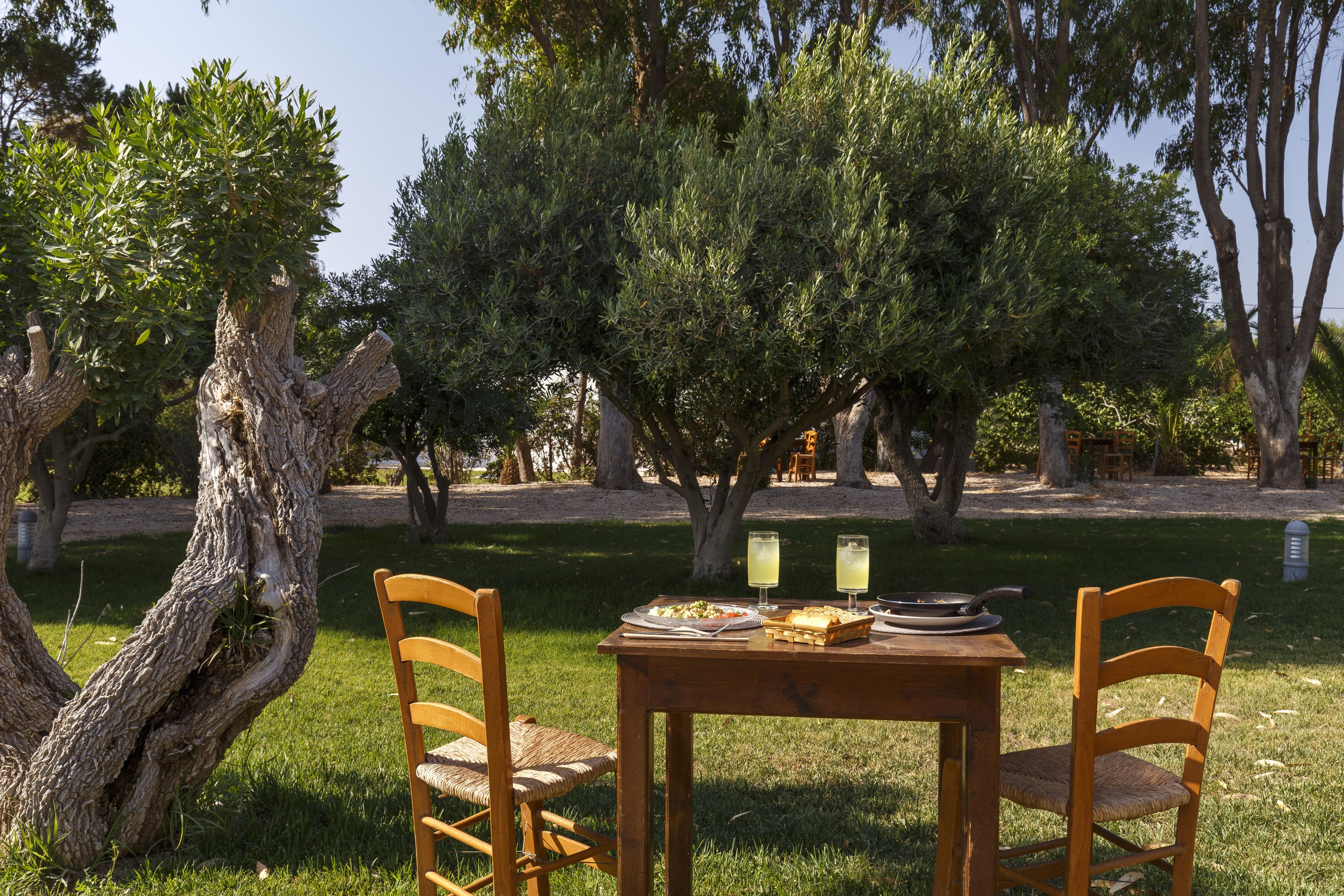 Foto - Eco Beach And Magic Garden Hotel