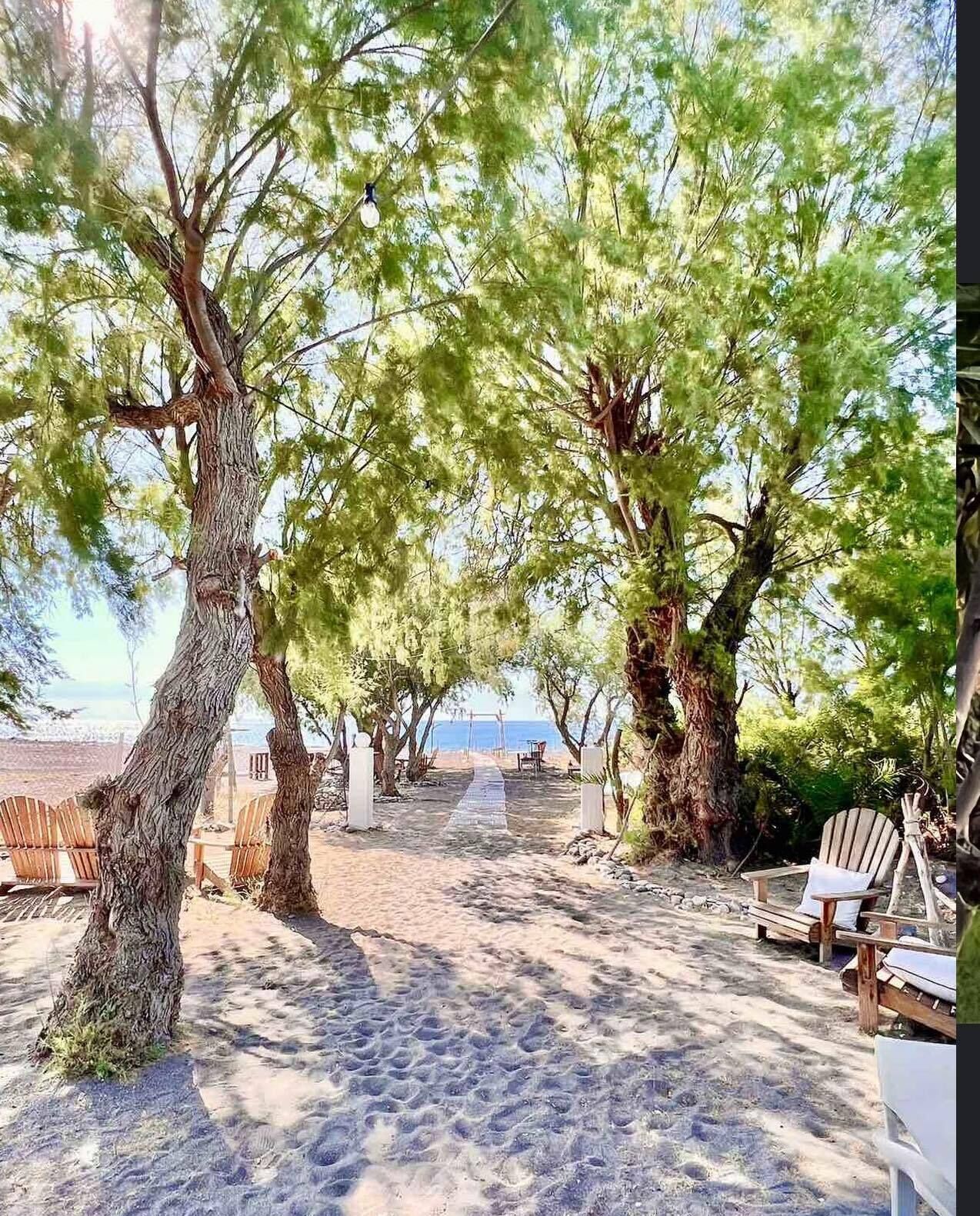 Foto - Eco Beach and Magic Garden