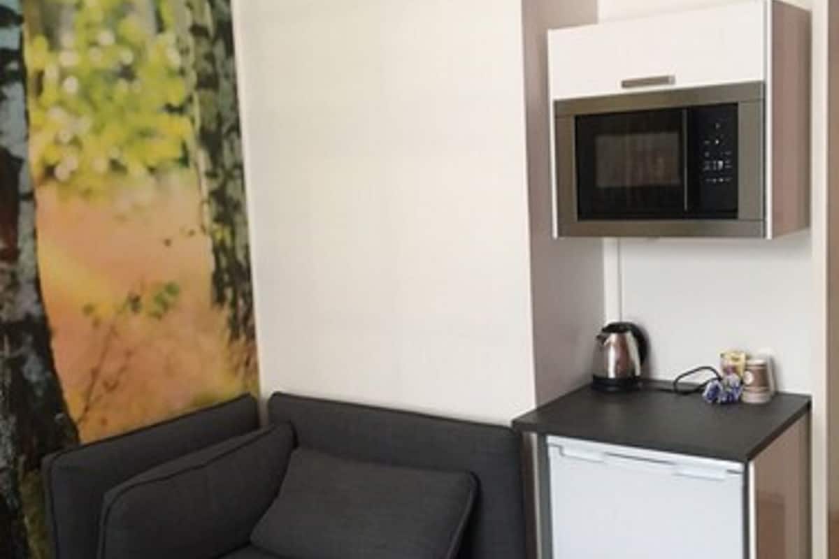 standard double room with sofa bed | room amenity