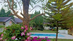 Un árbol con flores rosadas, un perro y una piscina en una zona residencial.