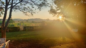 Paisaje rural con un campo cubierto de hierba, un muro de piedra y un banco bajo un árbol.