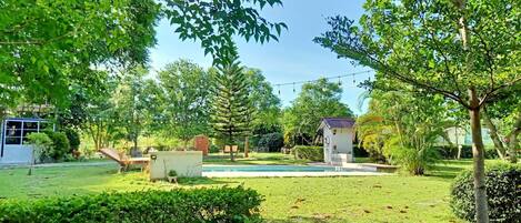 Un patio trasero con piscina, un cobertizo pequeño y varias plantas y árboles.