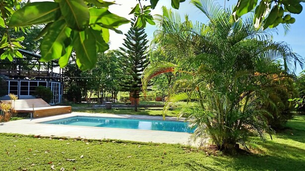 Una piscina rectangular rodeada de abundante vegetación, una terraza de madera y una estructura con paredes de vidrio.