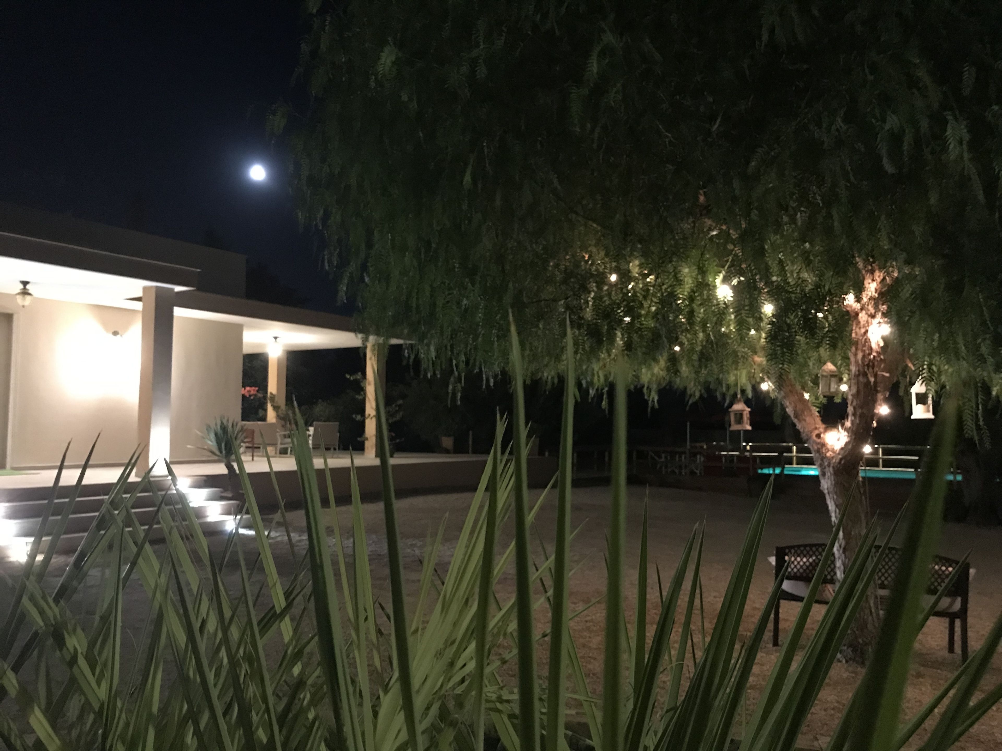 Foto - B&B Villa Jonica