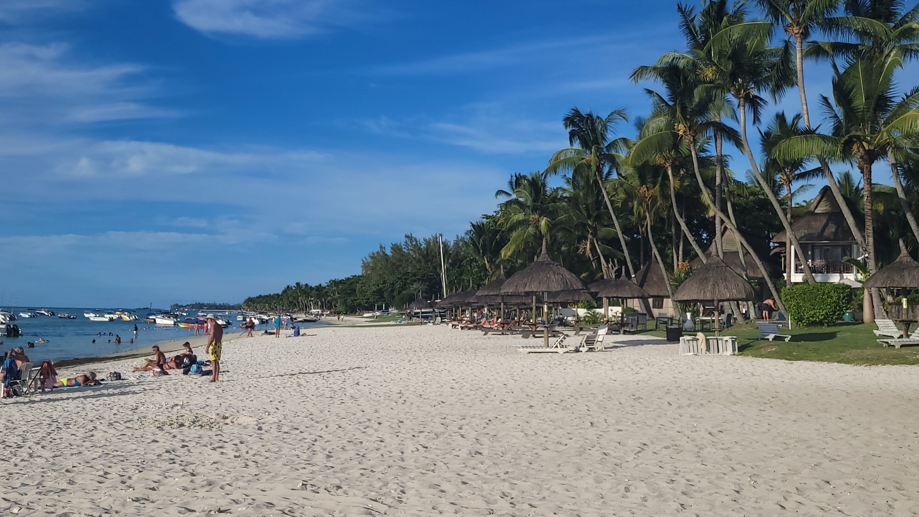 A beach with thatched-roof huts, palm trees, and a clear sky.