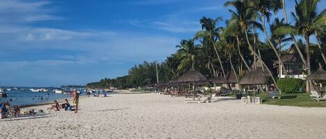 A beach with thatched-roof huts, palm trees, and a clear sky.