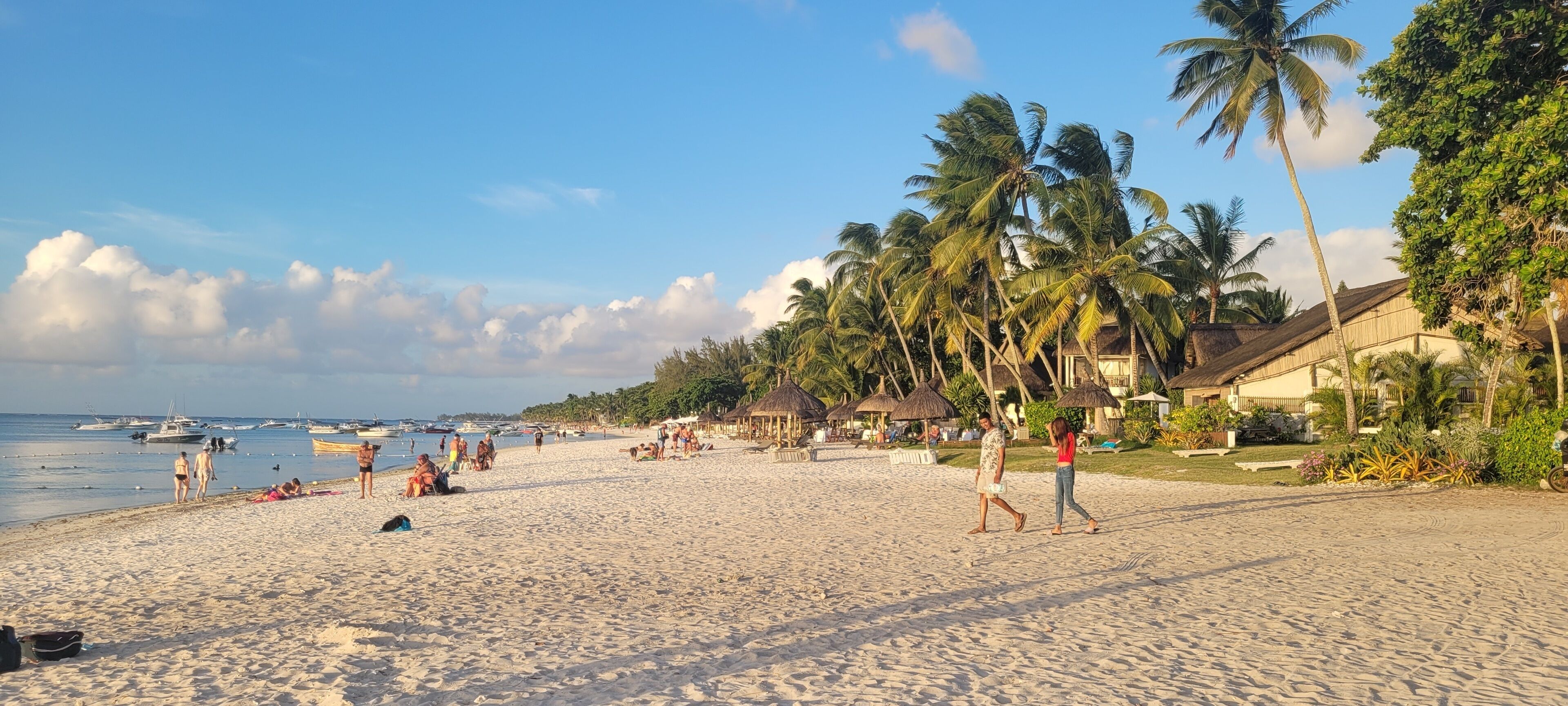 A beach with palm trees, a sandy shore, and boats in the water.
