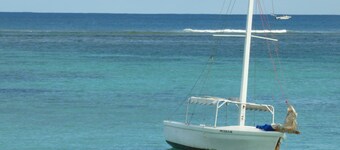 Villa Alexis - Apartments by the sea in Trou aux Biches