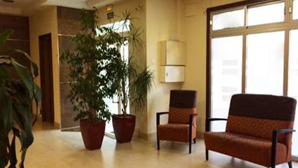 A lobby with a large potted plant, two armchairs, and a large window with blinds. - Hostal Villa (Chiclana de la Frontera)