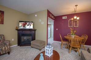 TV, fireplace, DVD player