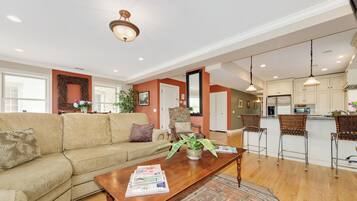 Smart TV, fireplace, DVD player, video library