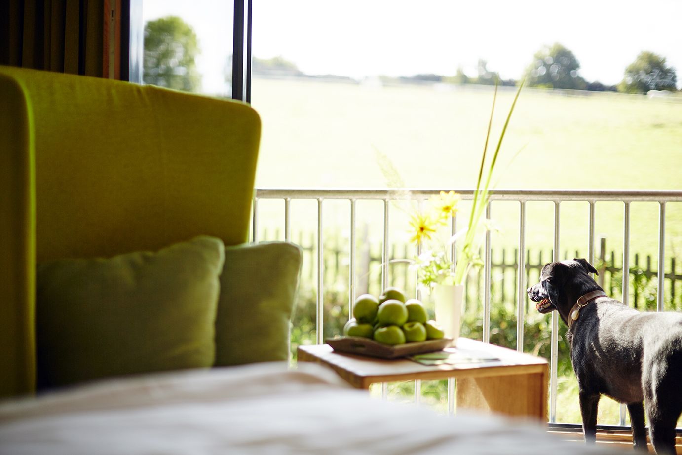 Habitación doble Confort (Plus) | Vista desde la habitación