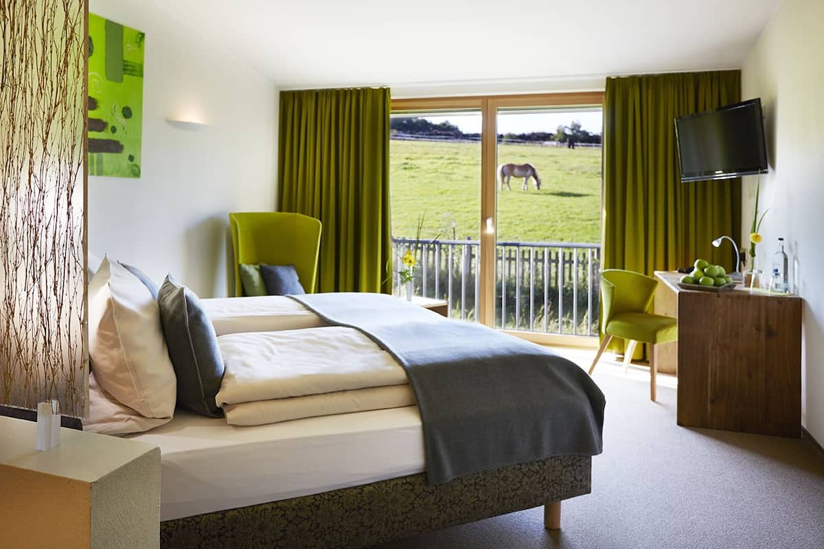 A hotel room with a bed, a green chair, a desk with a TV, and a balcony with a horse in the background.