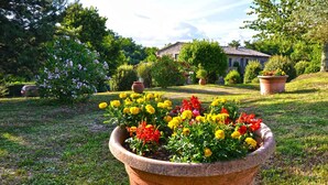 Un jardí amb una varietat de flors en una gran test de terracota, envoltat d'herba ben cuidada i arbres.