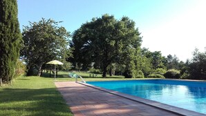 Una piscina amb un camí de maó que hi porta, envoltada d'arbres i una zona verda.
