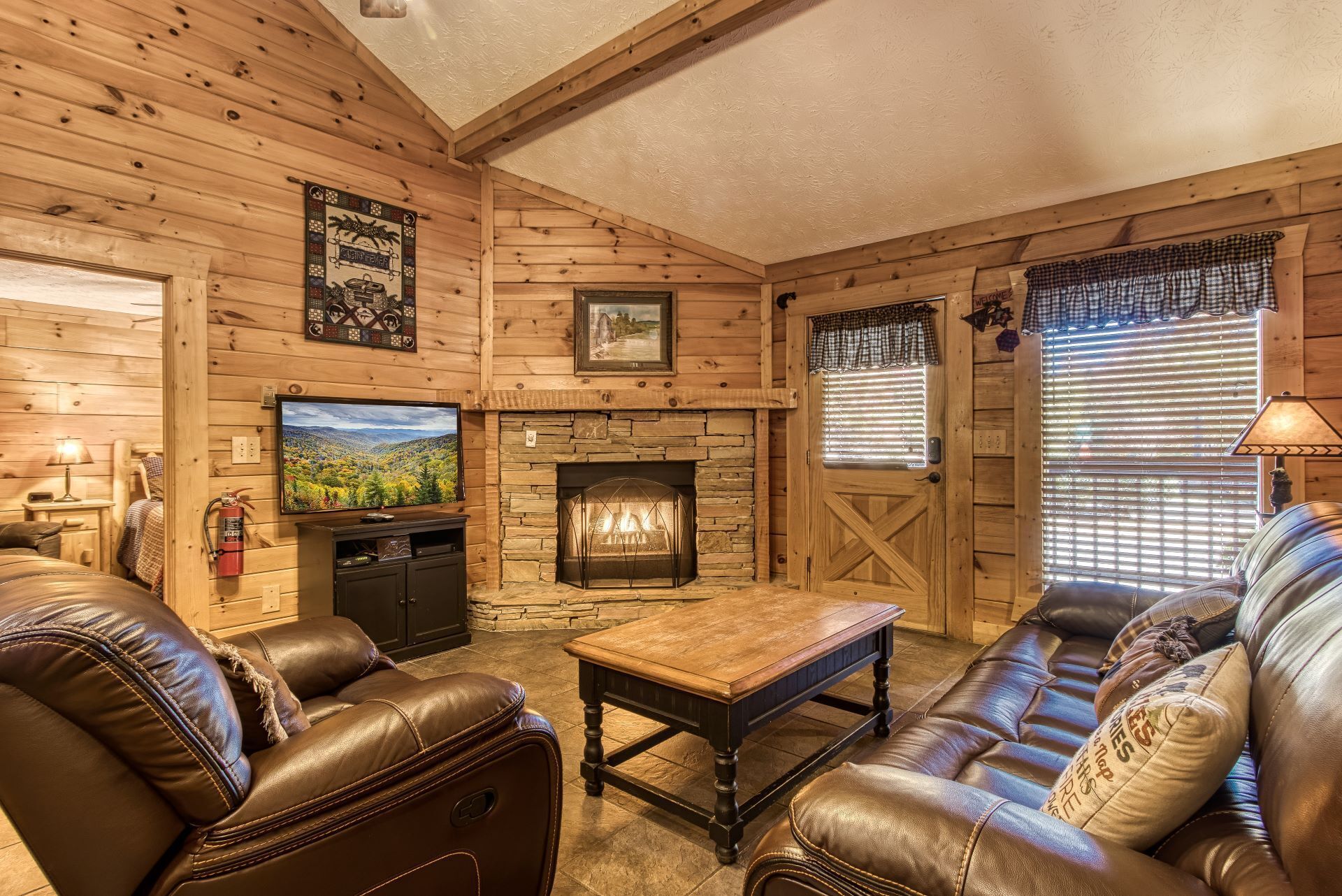 TV, fireplace