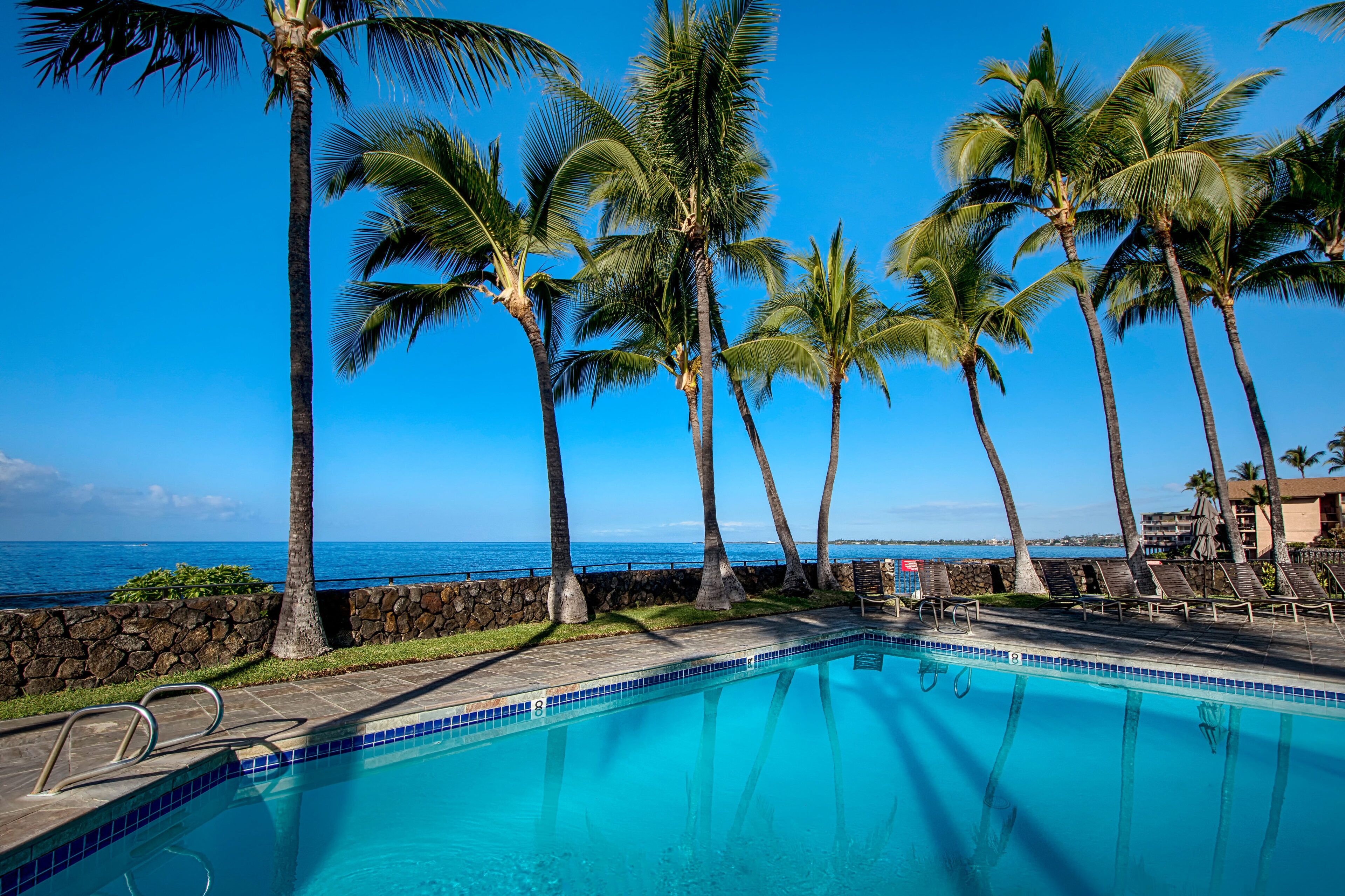 A pool with clear blue water, surrounded by palm trees and a stone wall, with a view of the ocean.