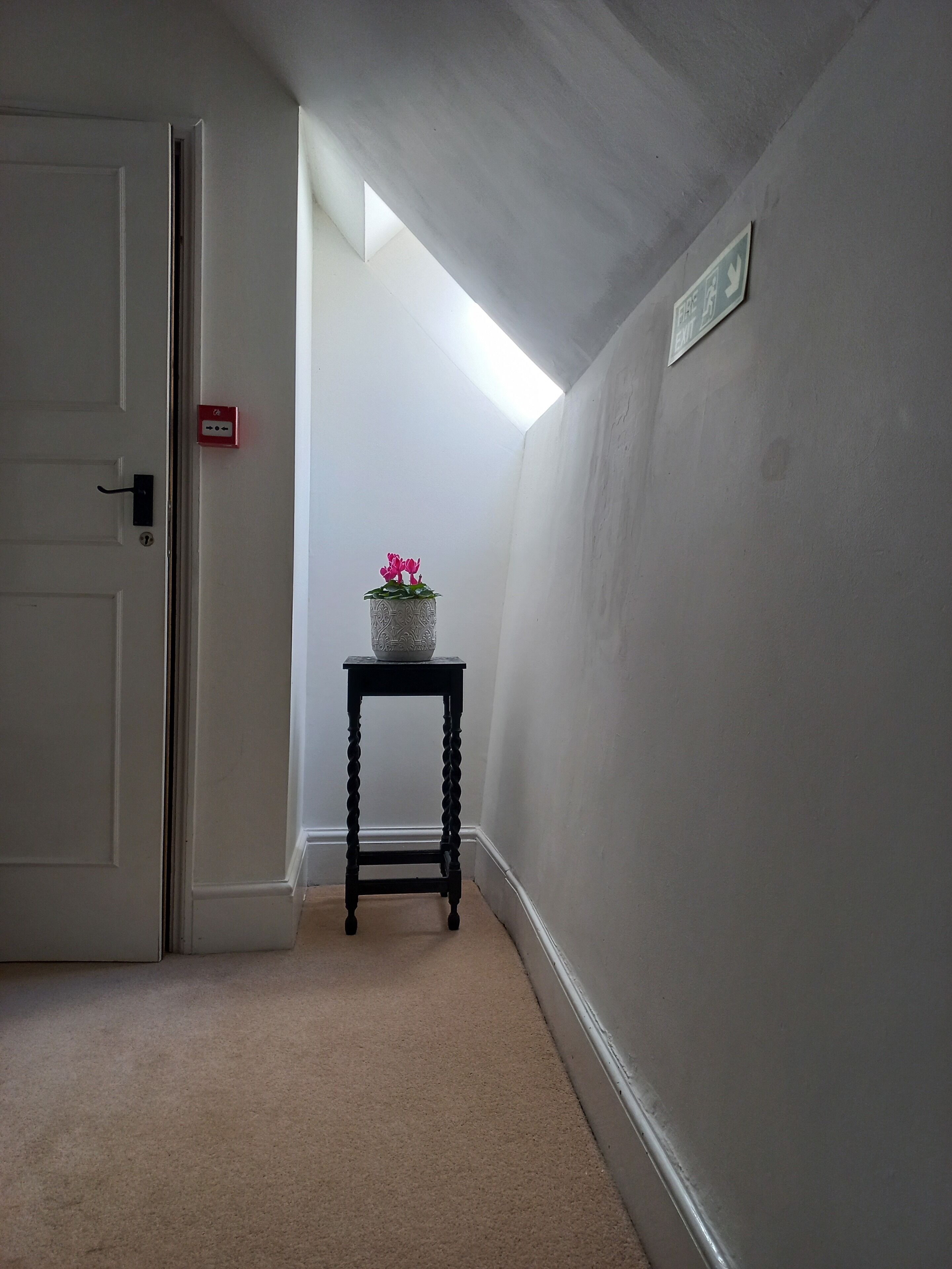 Un couloir étroit avec une porte blanche, une petite table ornée d’un objet décoratif et un luminaire au plafond.
