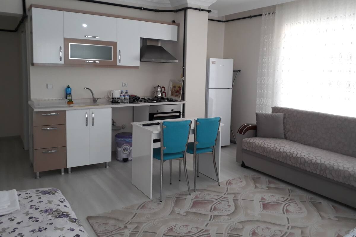 A compact living space with a kitchenette, a dining area with two chairs, a sofa, and a patterned rug.