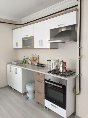 Großer Kühlschrank, Mikrowelle, Ofen, Herdplatte