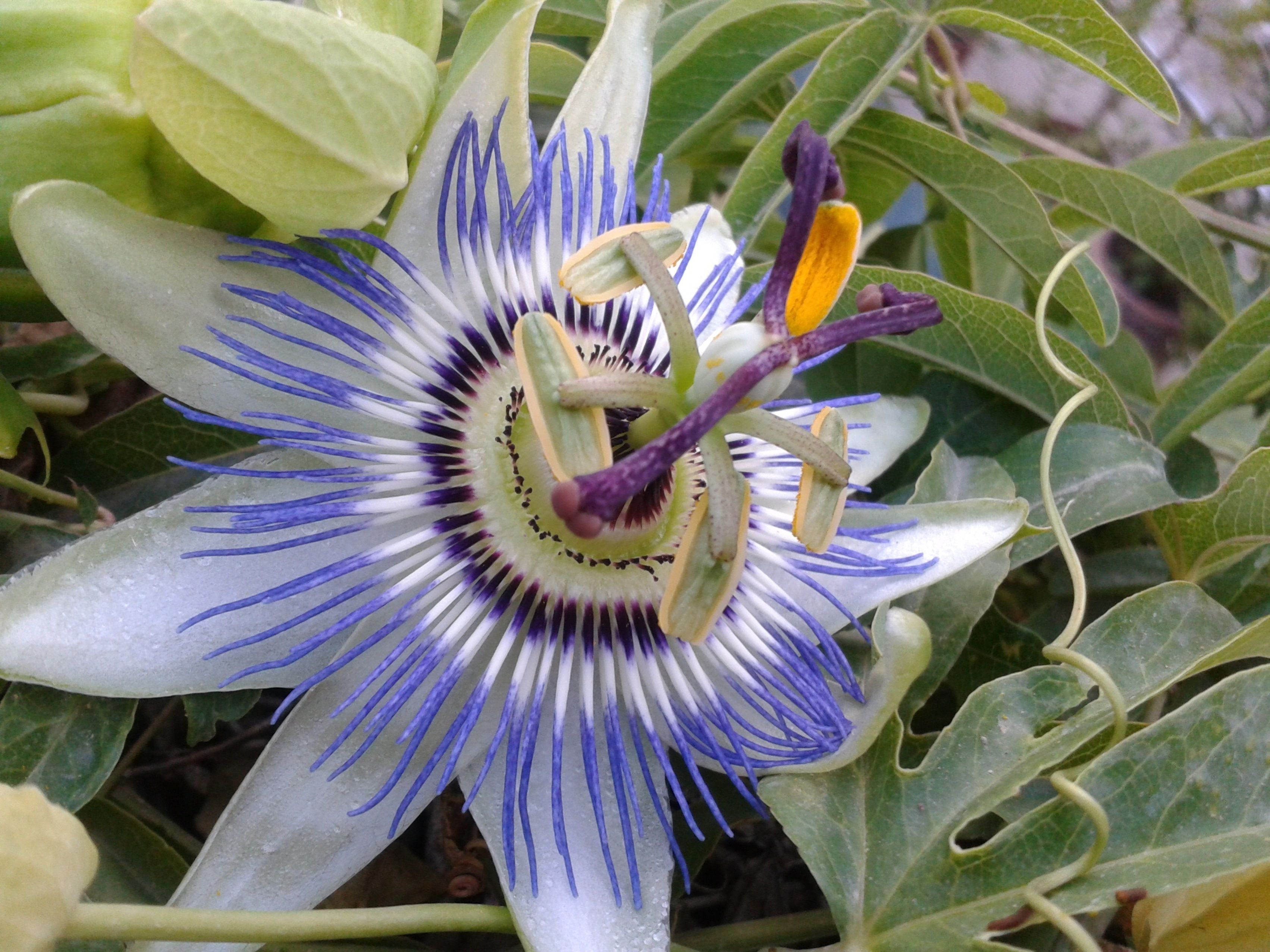 Foto - Locanda dei Buoni e Cattivi