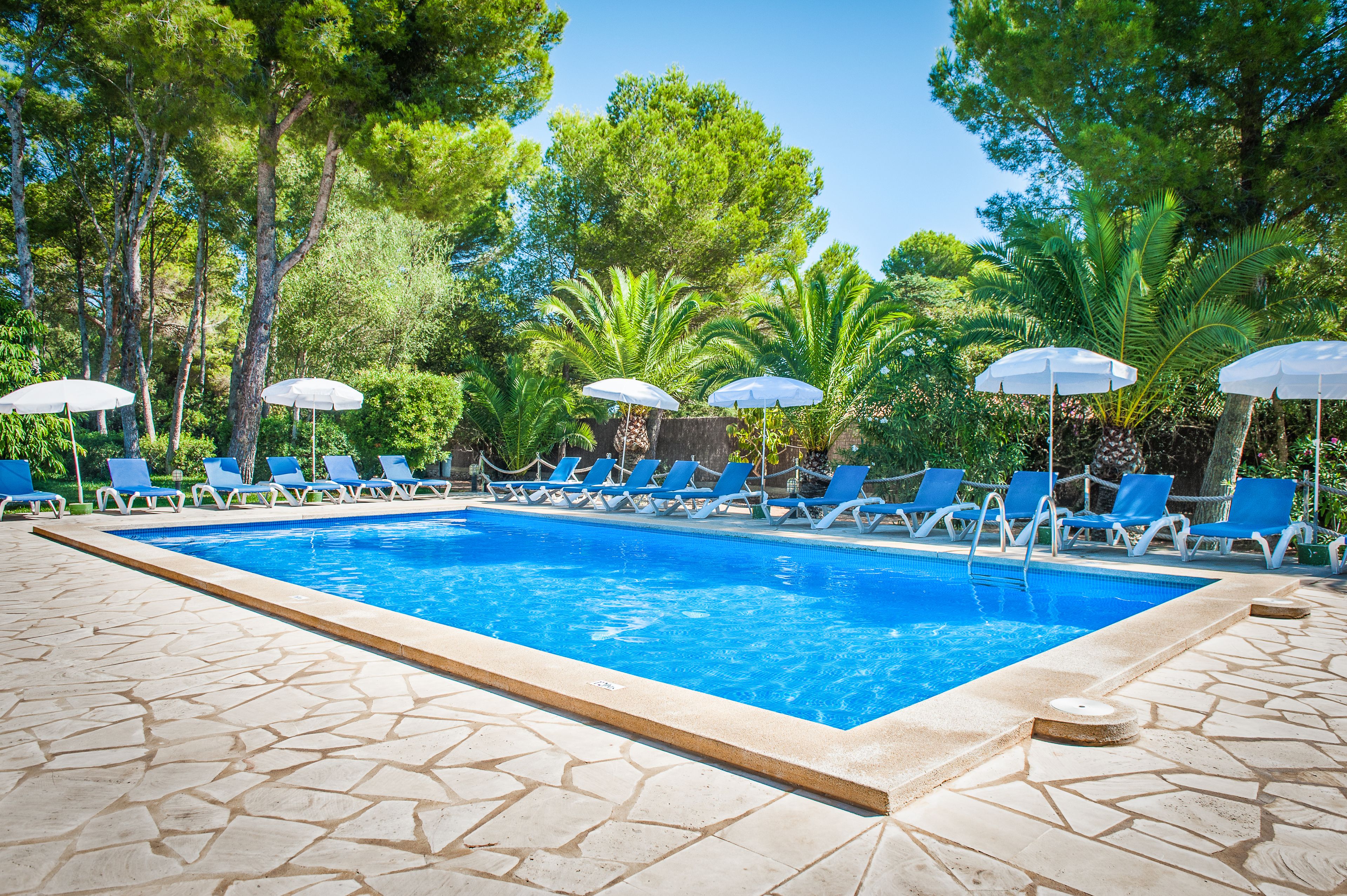 outdoor pool, pool umbrellas, pool loungers