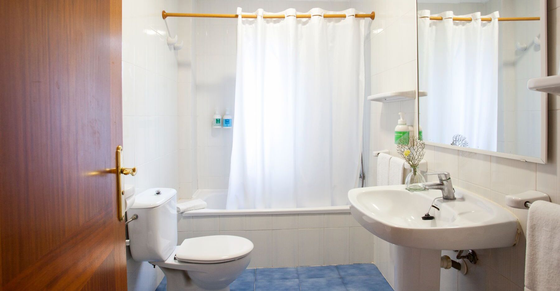 combined shower/bathtub, free toiletries, hair dryer, bidet