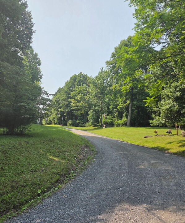 A gravel path in a park with trees and grass on both sides.