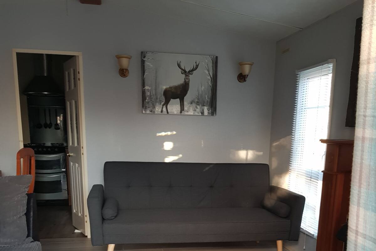 Uma sala de estar com um sofá cinzento, um tapete estampado e uma pintura de um veado na parede.