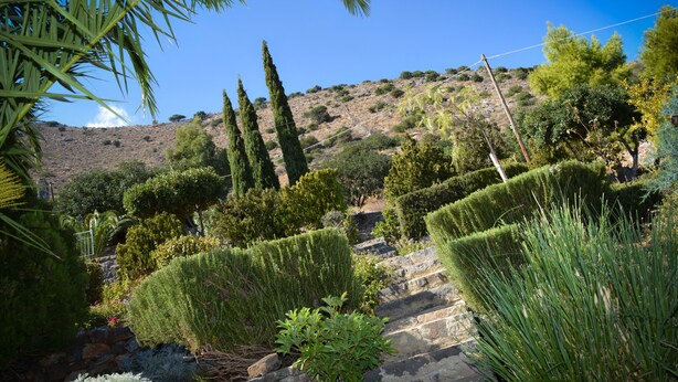 Um jardim paisagístico com sebes bem aparadas, um caminho de pedra e diversas árvores e arbustos.