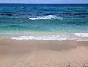 Beach - Coastal Serene Courtyard, Lush Garden, BBQ & Bar Cart – $1 Rides to Beach (Lake Worth)