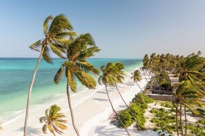 A beach with palm trees and a clear view of the ocean. - Zanzibar Sunrise at Bandas (Matemwe)