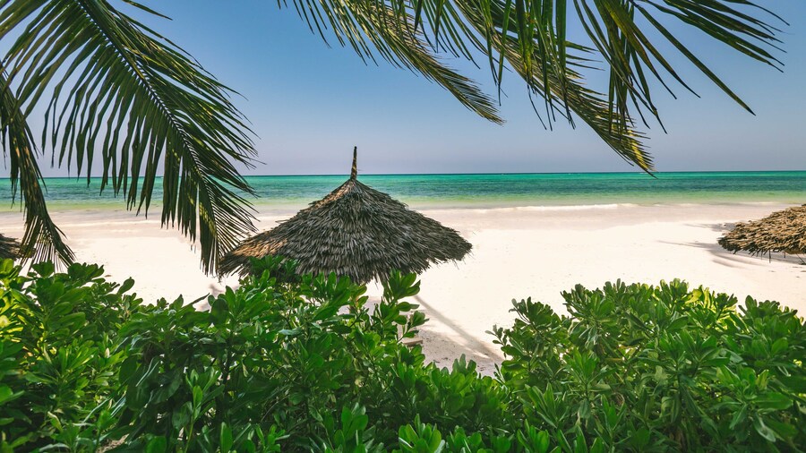 Zanzibar Sunrise at Bandas