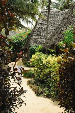A pathway leading to a thatched-roof structure surrounded by lush tropical vegetation. - Zanzibar Sunrise at Bandas (Matemwe)