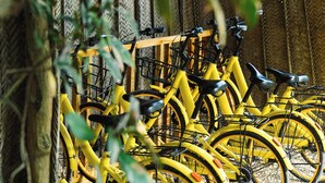 A row of yellow bicycles parked in a sheltered area with a sign indicating a reception area. - Zanzibar Sunrise at Bandas (Matemwe)