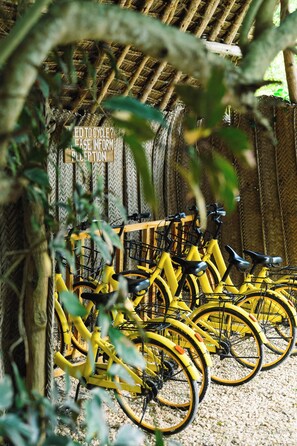 A row of yellow bicycles parked in a sheltered area with a sign indicating a reception area. - Zanzibar Sunrise at Bandas (Matemwe)