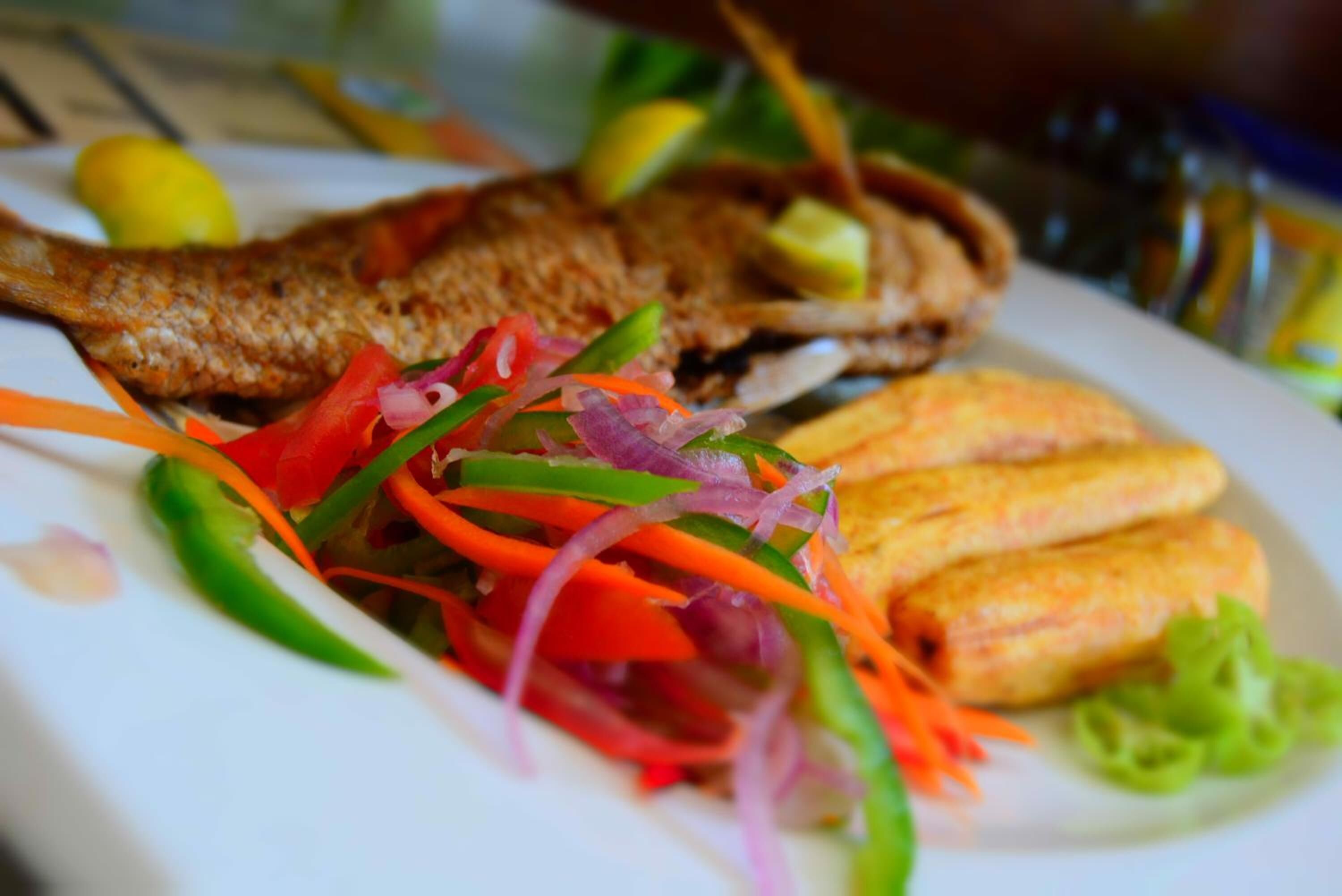 Foto - Florida Executive Inn