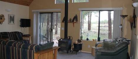 Fernseher, DVD-Player, Bücher, Musikbibliothek