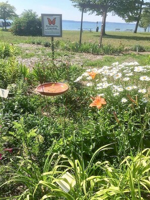 Explore the serene Butterfly Garden, surrounded by lush plants and a tranquil body of water.