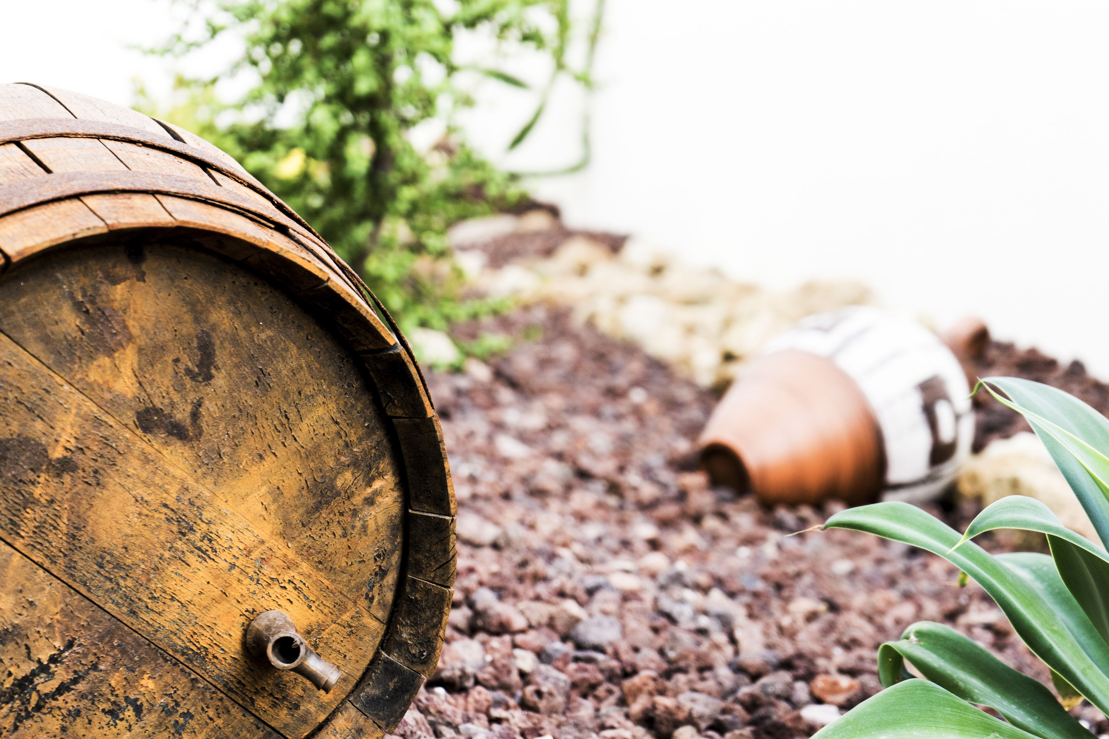 Foto - Hostal La Isla