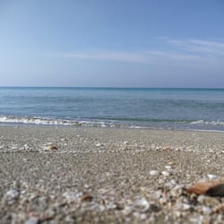Esterni