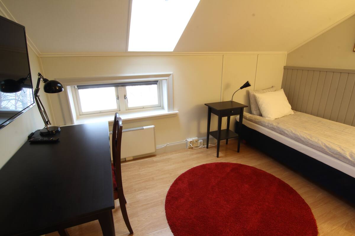 A bedroom with a bed, a desk, a chair, a red rug, a window, and a radiator.