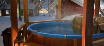 Filipsborg, the Arctic Mansion