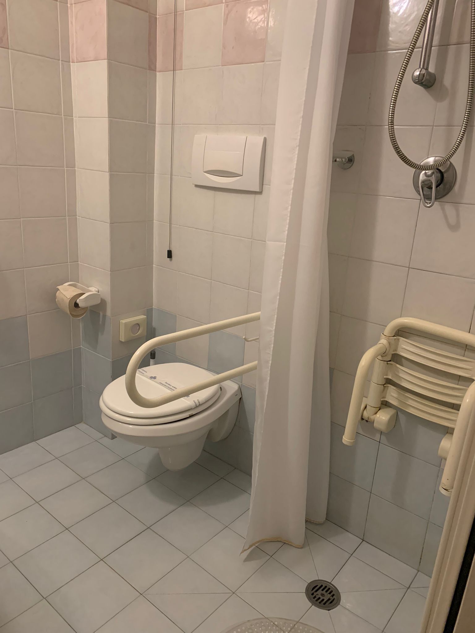 A bathroom with a toilet, a shower, and a handrail.