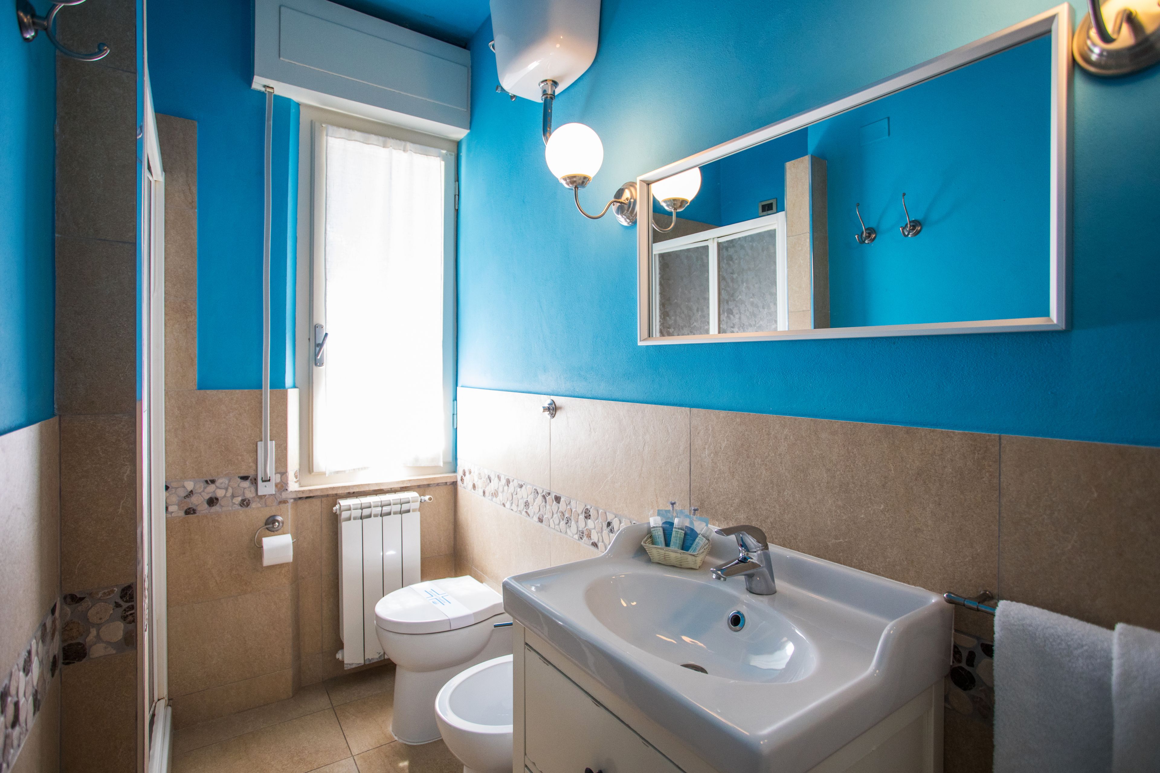 shower, free toiletries, hair dryer, bidet