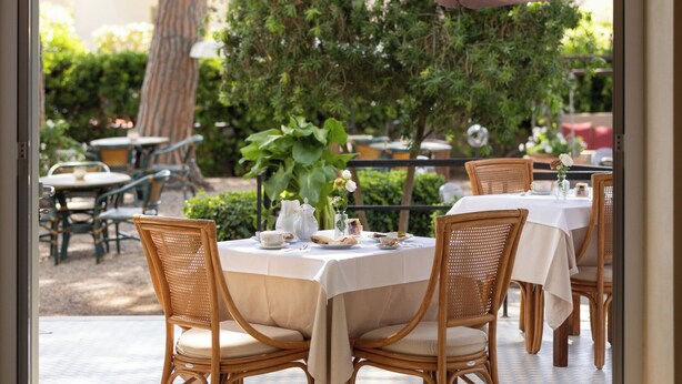 An outdoor dining area with wicker chairs and tables, surrounded by greenery and a tree. - Hotel Massimo (Cecina)